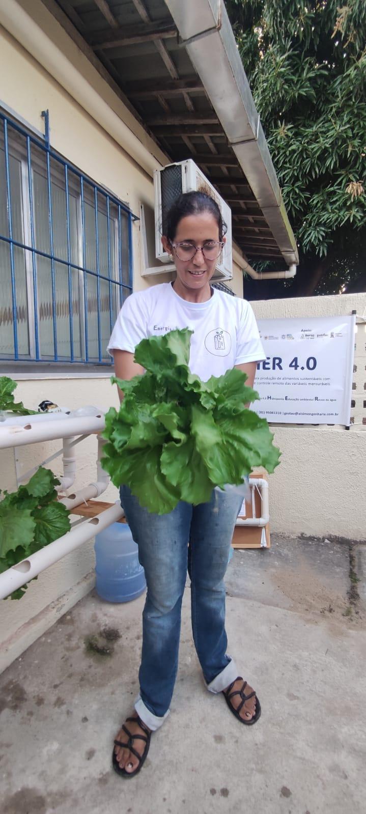lettuce produced in Brazil