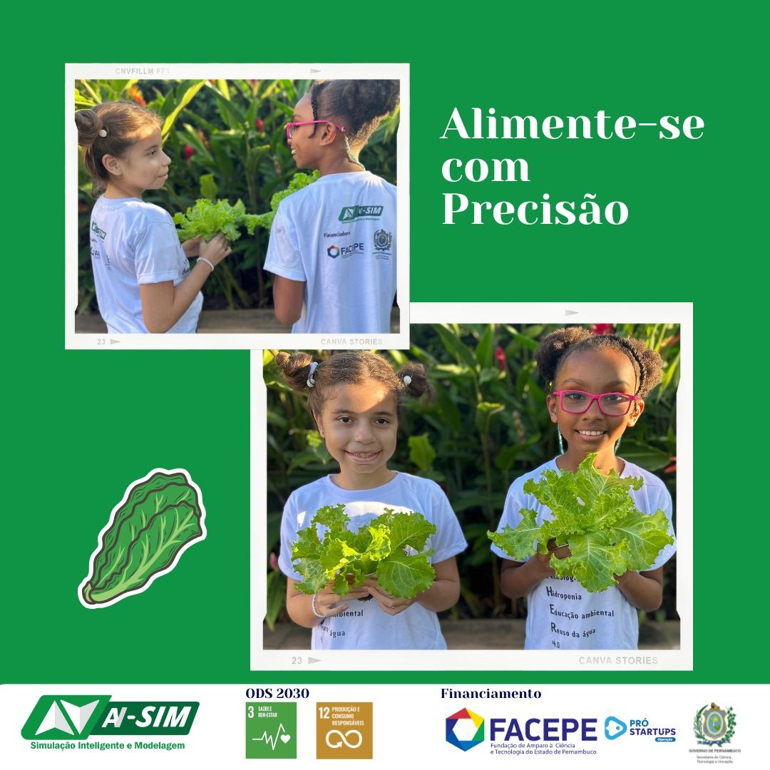 lettuce produced in Brazil